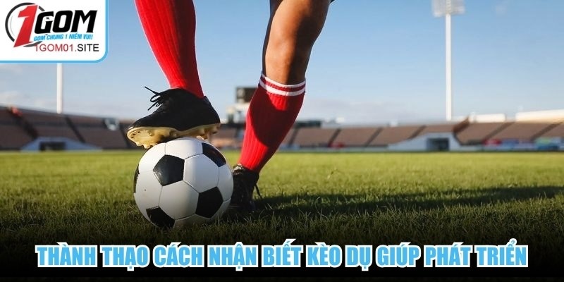 Thành thạo cách nhận biết kèo dụ giúp phát triển trong thế giới cược bóng đá