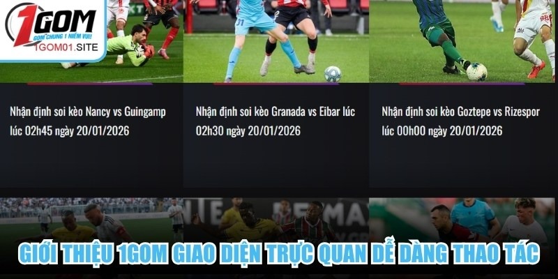 Giới thiệu 1Gom giao diện trực quan giúp người dùng dễ dàng thao tác