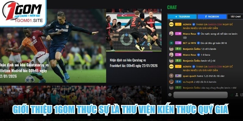 Giới thiệu 1Gom thực sự là thư viện kiến thức quý giá cho mọi đối tượng