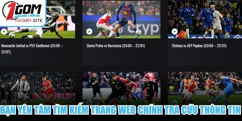 Bạn yên tâm tìm kiếm trang web chính tra cứu thông tin không sợ rò rỉ dữ liệu