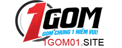 1GOM